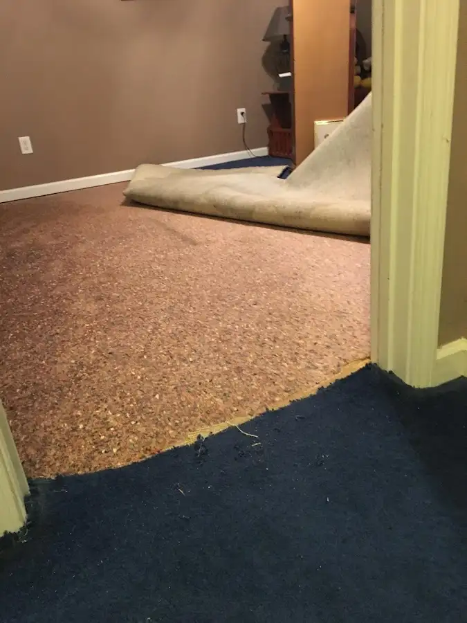 Carpet pad removal revealing water damage during Drying & Dehumidification in Annville