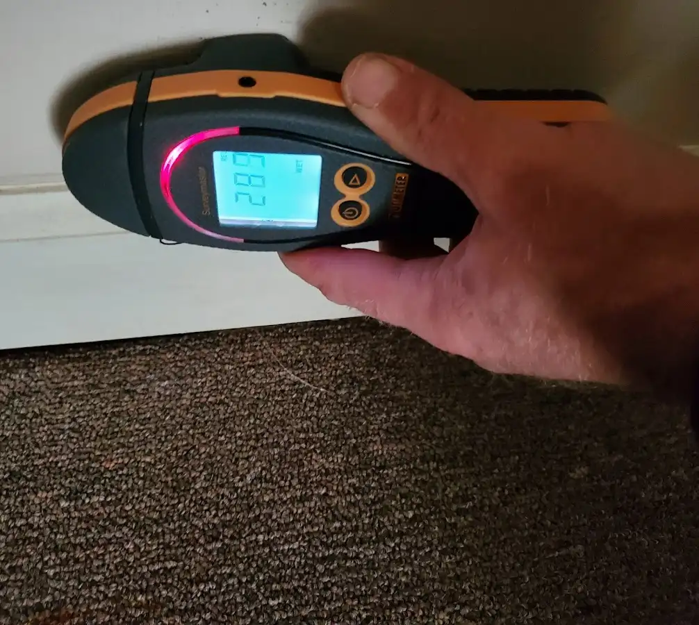 Moisture detection at baseboard during Sewage Cleanup & Sanitation in Annville